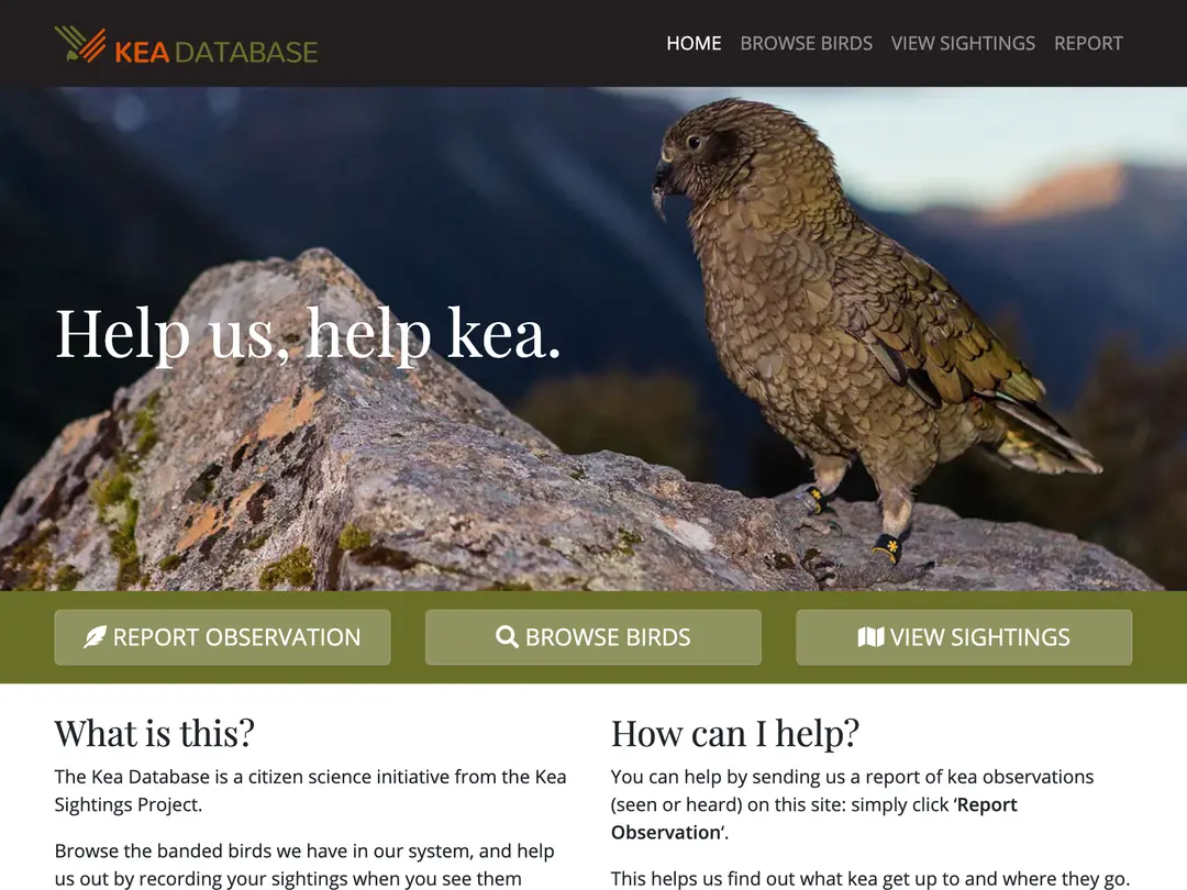 Kea Database web application screenshot