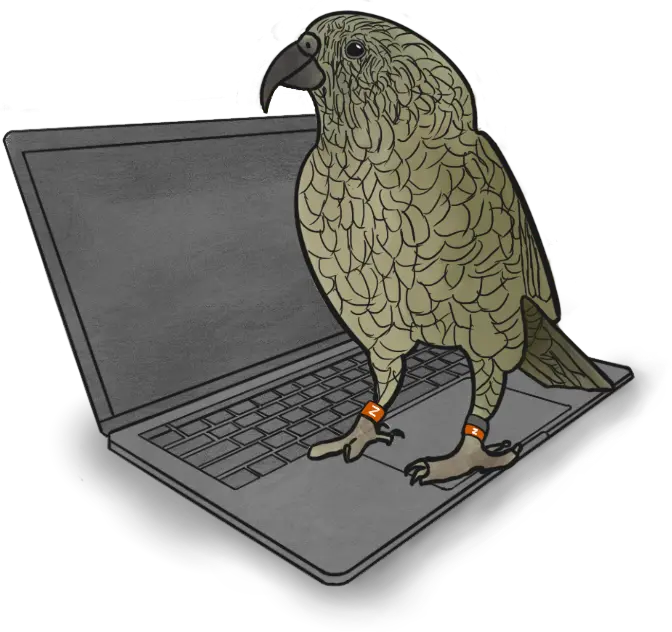 Graphic of a laptop with a kea standing on it